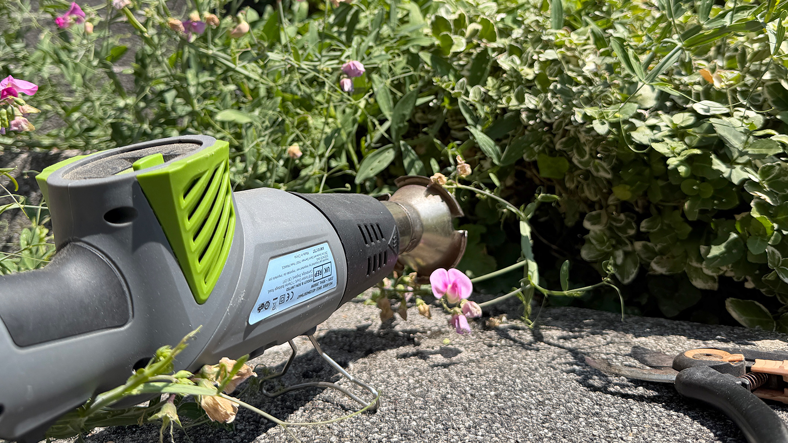 Elektrisches Abflammgerät auf einer Steinplatte, daneben wuchernde Pflanzen mit rosa Blüten und eine Gartenschere